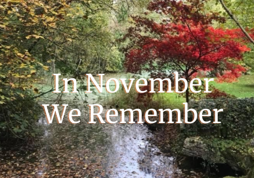 In November We Remember